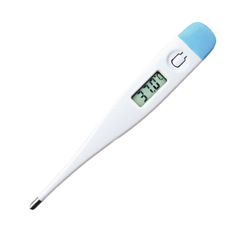 Thermometer Digital